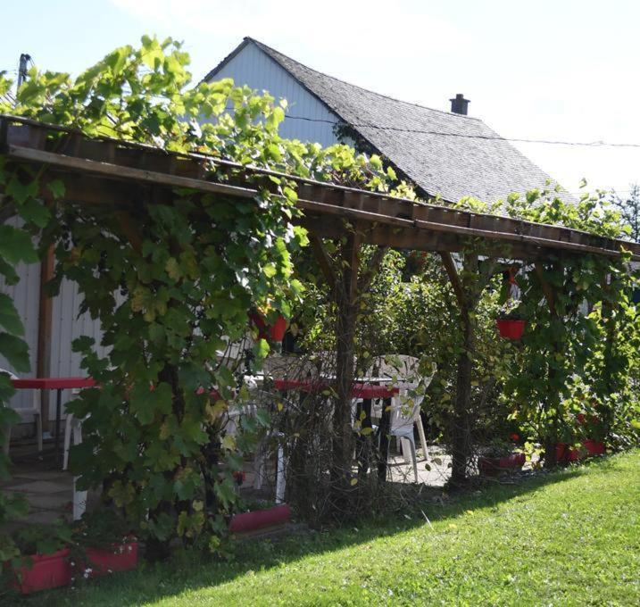 Holiday home Chez-vous Au Village *